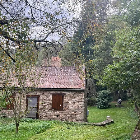 Le Moulin De Rouquet Ferienhaus La Selve (Aveyron)