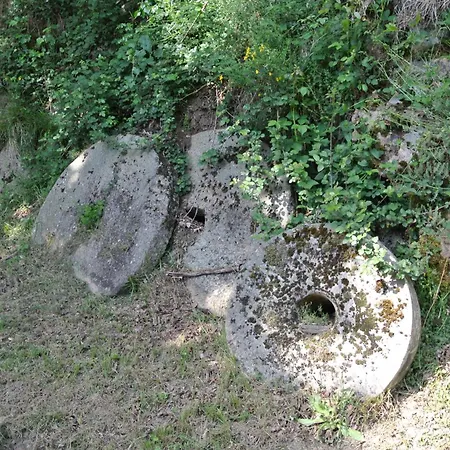 Le Moulin De Rouquet La Selve (Aveyron)